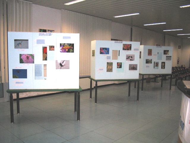 Invito alla mostra 